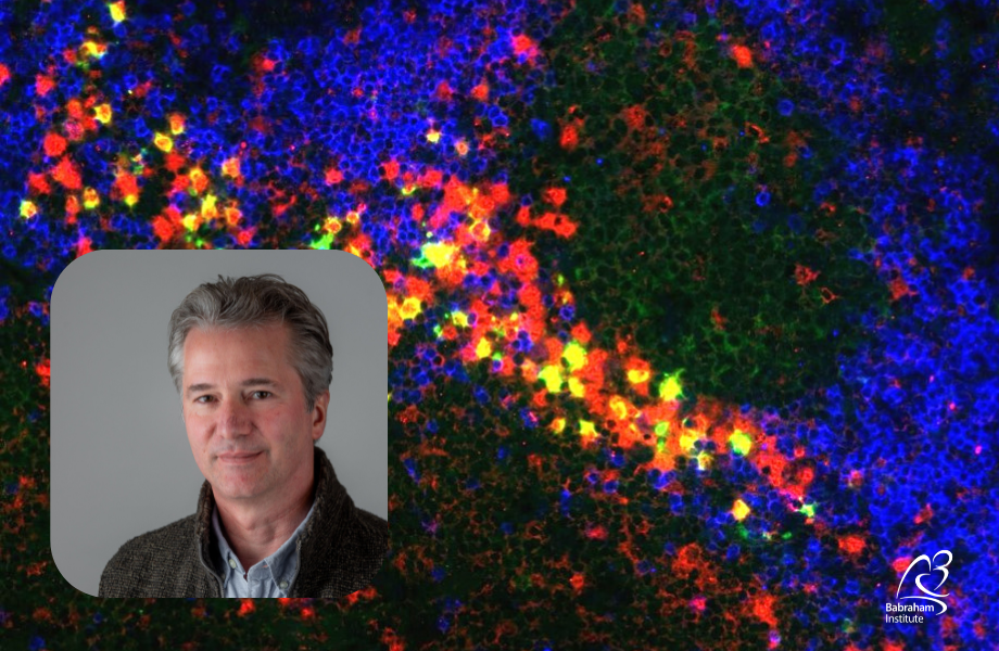 Inset photo of Kai and a background image of tissue from a mouse lymph node stained to show different types of immune cells.
