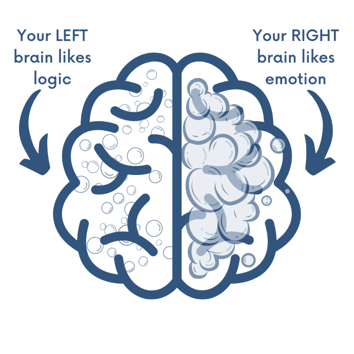 left brain, right brain 