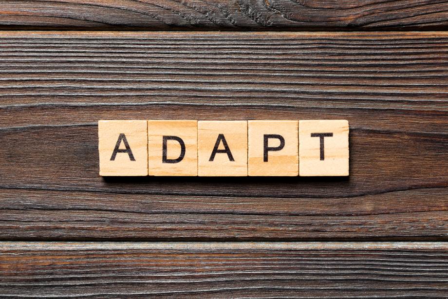 Adaptability Intelligence is a crucial skill for businesses