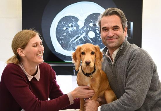 Copper the dog with VetCT Co-Directors, Victoria Johnson and Julien Labruyère.