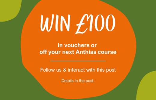Anthias summer social competition 