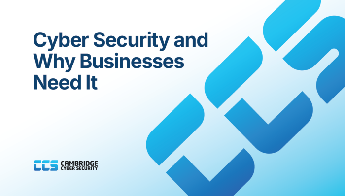 Cambridge Cyber Security on why businesses need cyber security