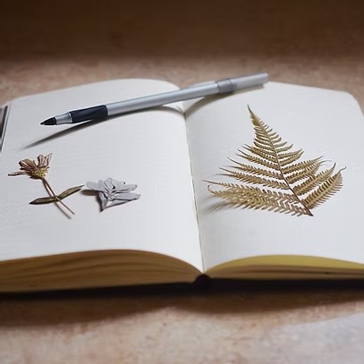 Journaling