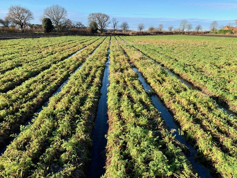 Farming in a Warming, Wetter World