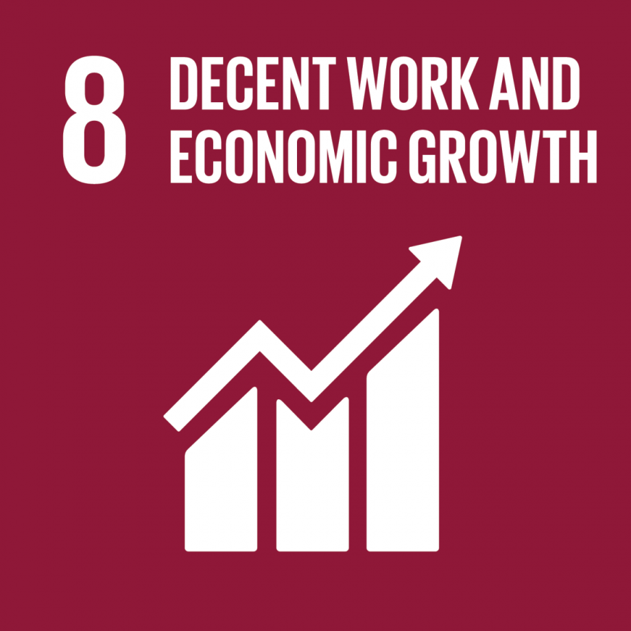 Decent Work and Economic Growth (sdg8)