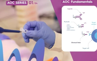 Why Antibody-Oligonucleotide Conjugates Are Gaining Momentum