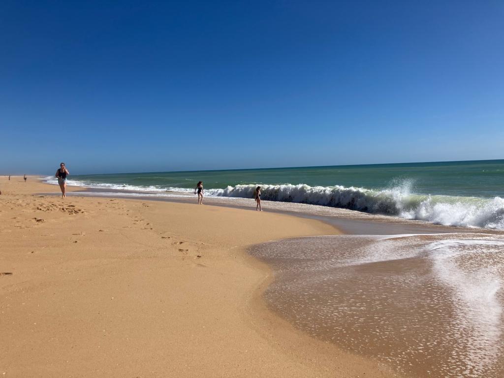 A beautiful beach in the sunshine