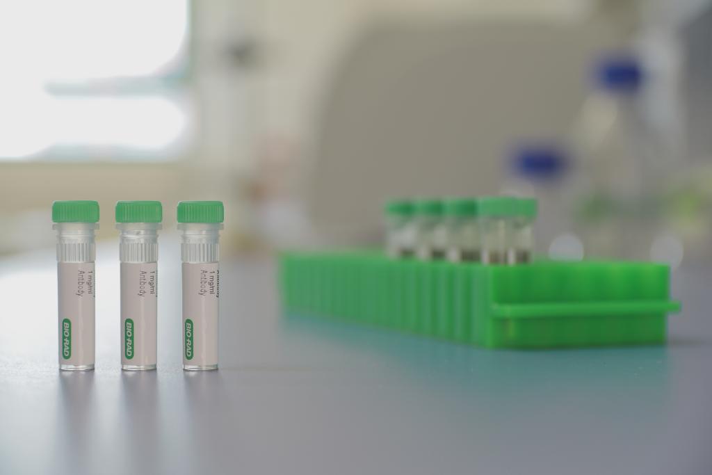 Bio-Rad anti-idiotypic antibodies