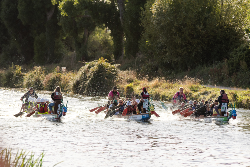 Dragon Boats competing on the water