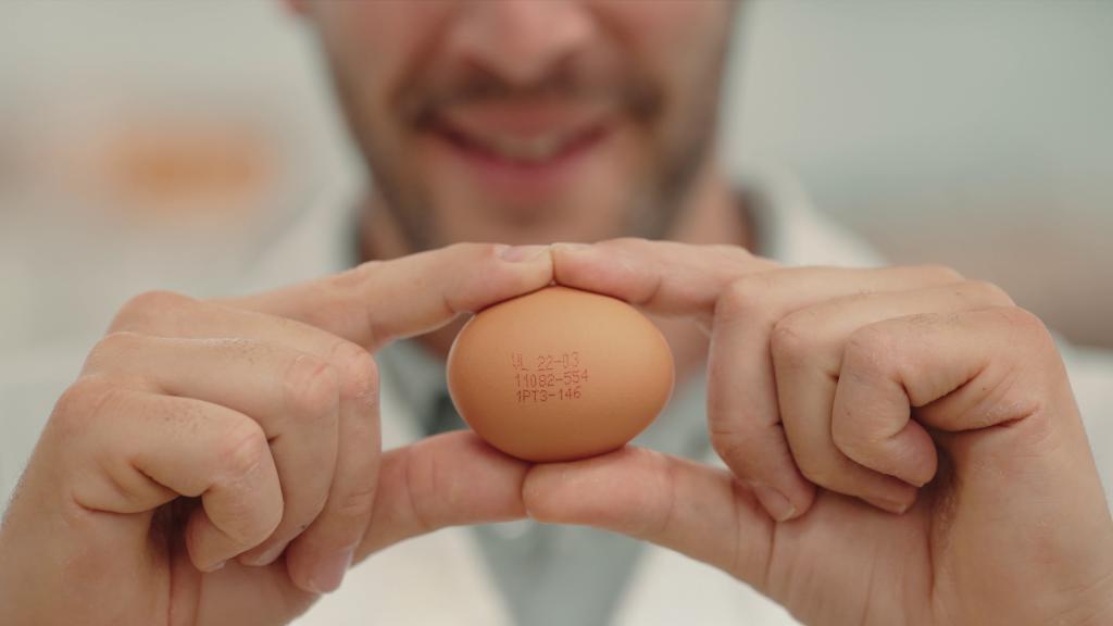 Shell to Shelf Egg Coding From Domino