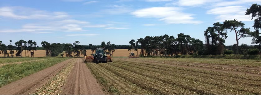 Elveden Farm