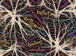 A word cloud with words like emotion, feelings, thoughs mixed between graphics representing neurons in the brain