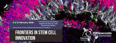 Text reads: Frontiers in Stem Cell Biology. 5 & 6 February 2026. Partnered with the Annual World Organoid and Organ-on-a-chip Research Day (WORD+). Wellcome Genome Campus and Babraham Research Campus, Cambridge UK.