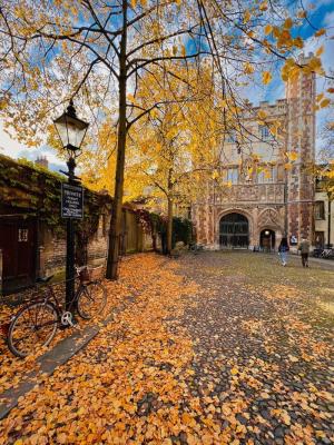 Cambridge University 
