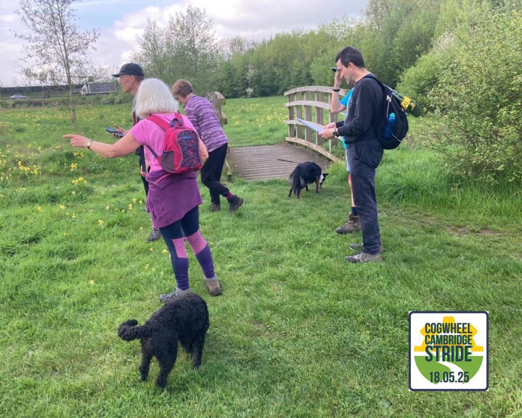 The image shows a small group of people with two dogs, walking across a field as part of the Cogwheel Cambridge Stride in 2023.