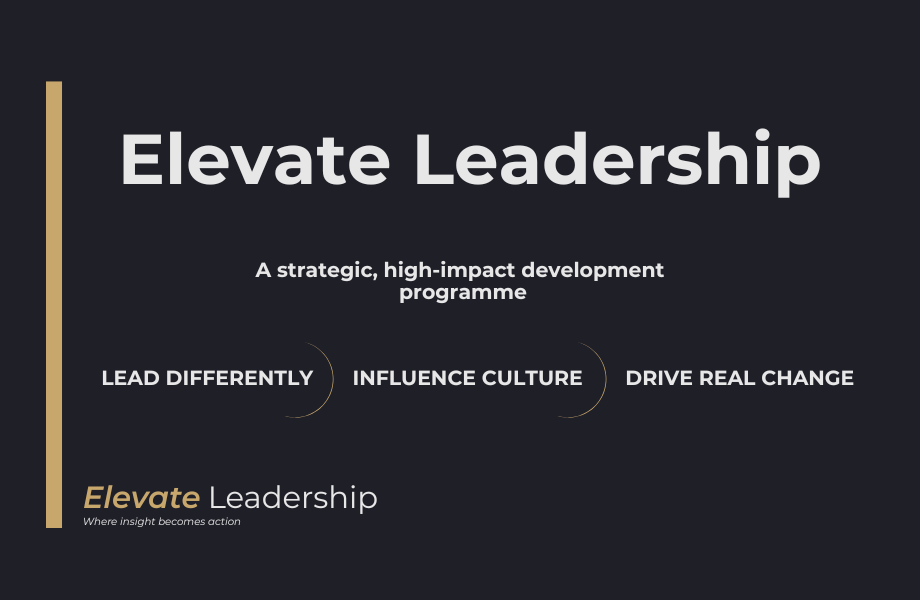 A black background with a thin vertical gold stripe on the left. On the right are the words Elevate Leadership: A strategic high-impact development programme. Lead differently, influence culture, drive real change. This half moons separate these last 3 statements. 