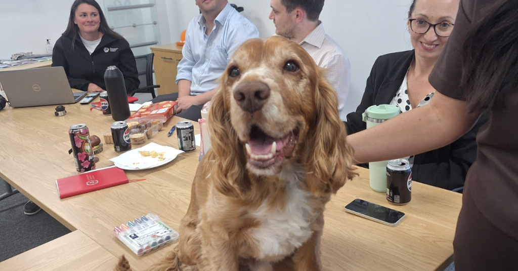 Dog is centre image on a table with team members sitting behind him talking 