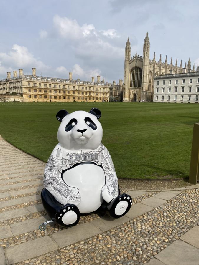 Panda sitting in front of a Cambridge college