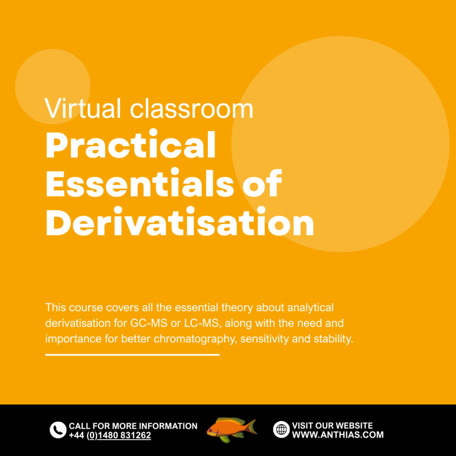 Practical Essentials of Derivatisation