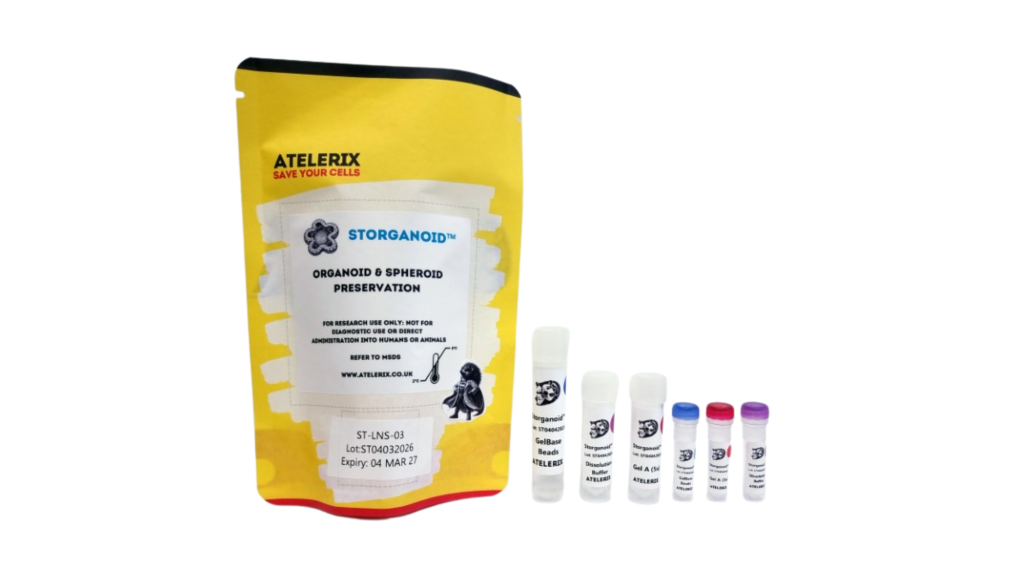 STORganoid™ ambient-temperature preservation solution for organoids and spheroids