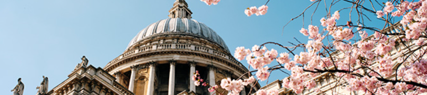 St Paul's Cathedral Spring Blossom