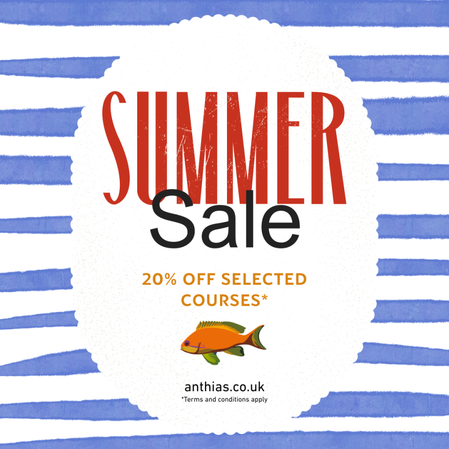 Anthias Consulting Summer Sale 2026