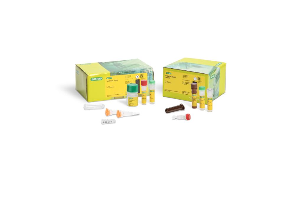 TrailBlazer StarBright Dye Label Kits