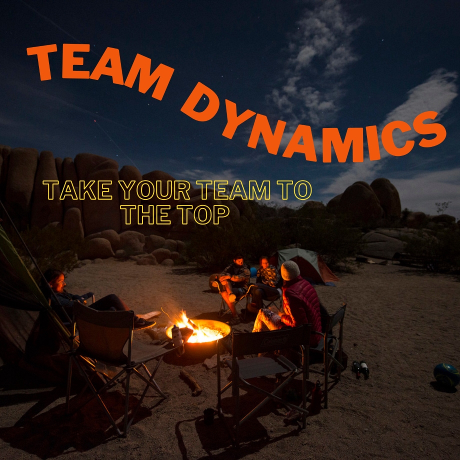 WEBINAR WORKSHOP: Team Dynamics