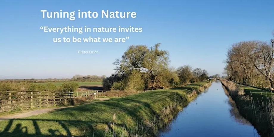 Image of Cambridgeshire Fens