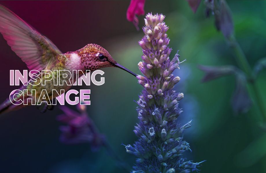COEL" Inspiring Change" branded image