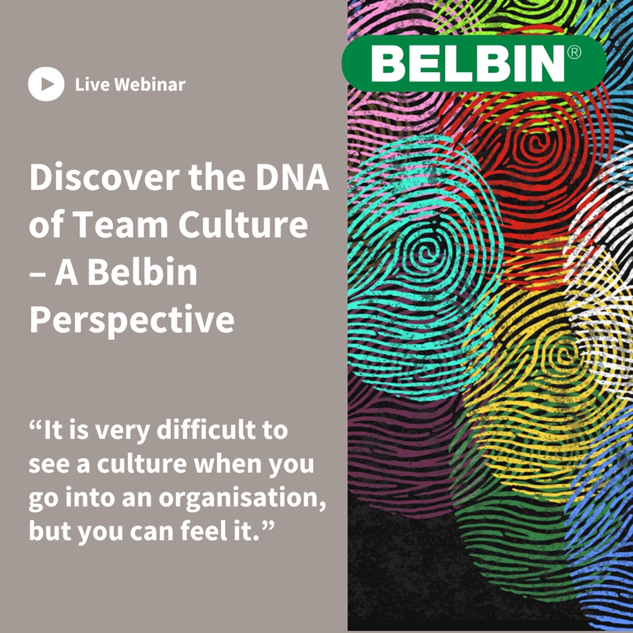 Webinar: The DNA of Team Culture - a Belbin perspective