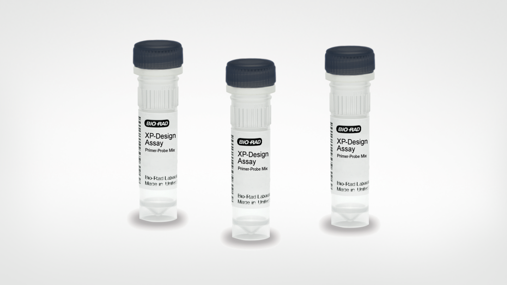 XP-Design Assay Salmonella Serotyping Solution
