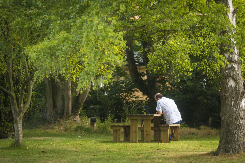 A man is sitting at a picnic bench under some lush green trees with a laptop open on the table in front of him 