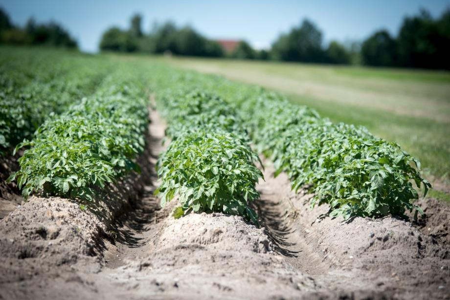 Agri-Tech Meets
