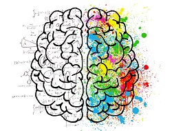 A graphic of left side, right side brain