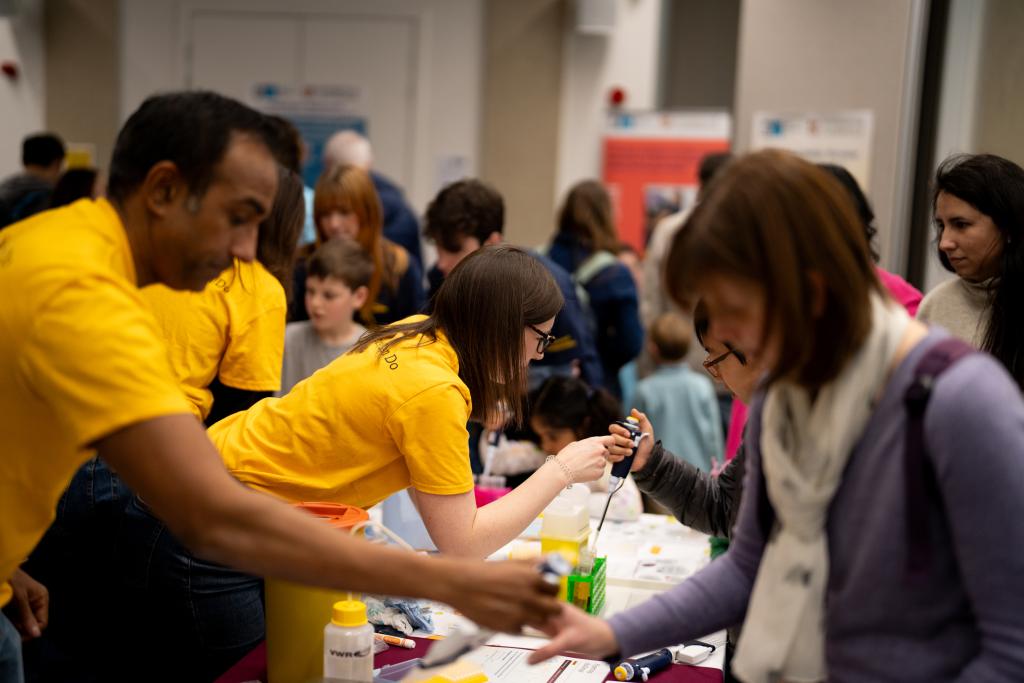 Cambridge festival 
