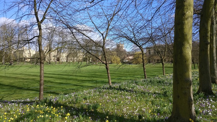 Cambridge scene in spring