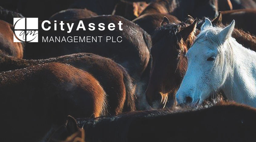 city asset management 
