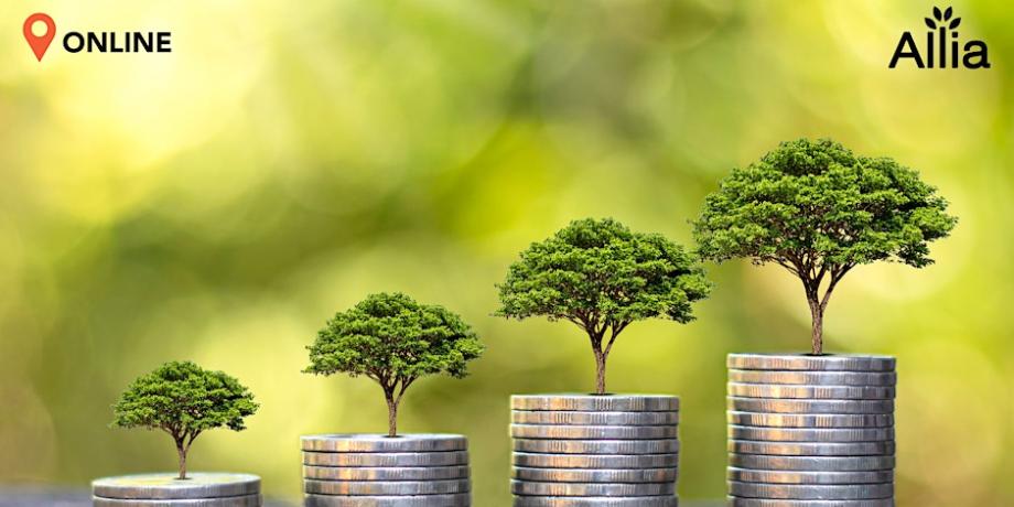Trees growing out of little piles of coins. Text reads "Online" and "Allia".