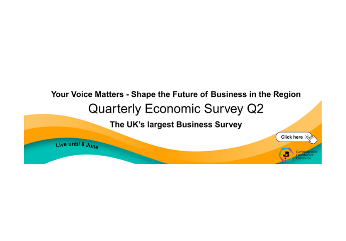 Quarterly Economic Survey Q2 2025