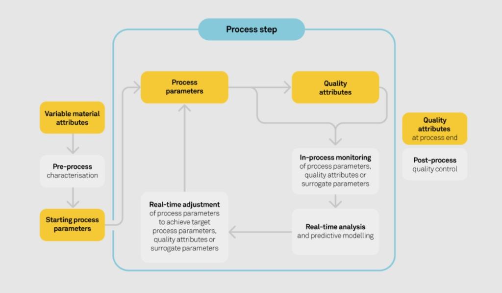 Diagram of process development for cell and gene therapy production