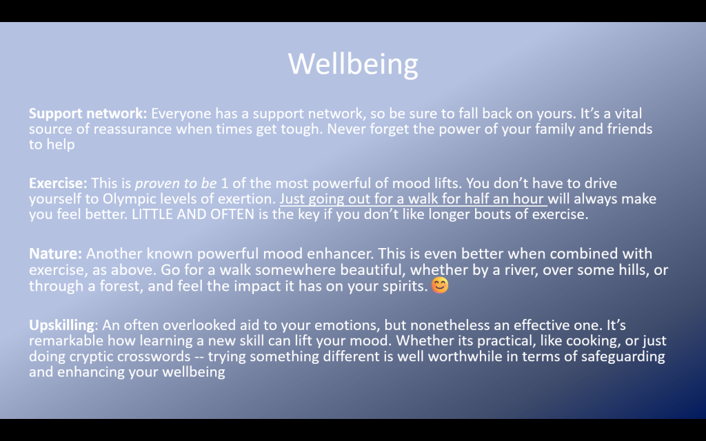 Slide titled wellbeing and full of text about the issue