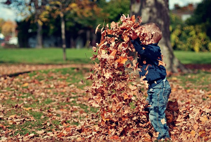 boy playing on dried leaves