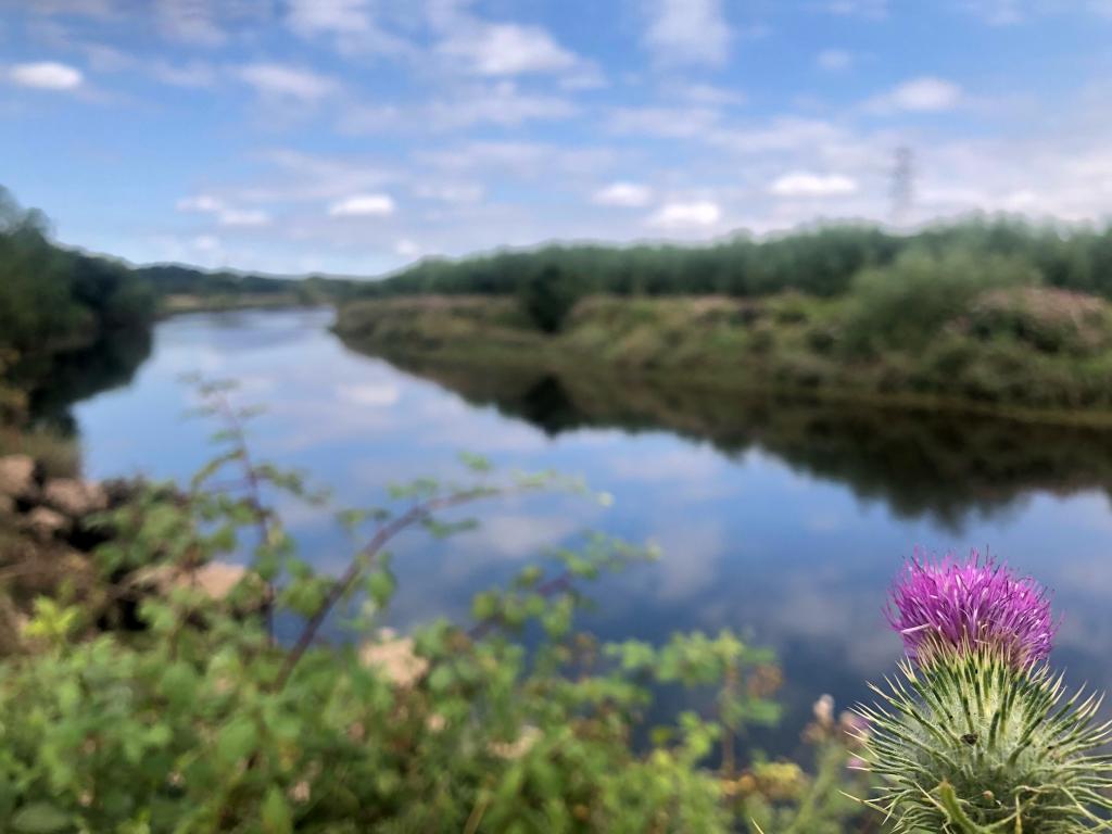 River in sunshine