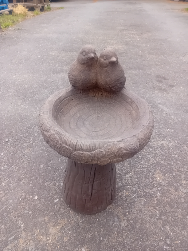 Robin bird bath