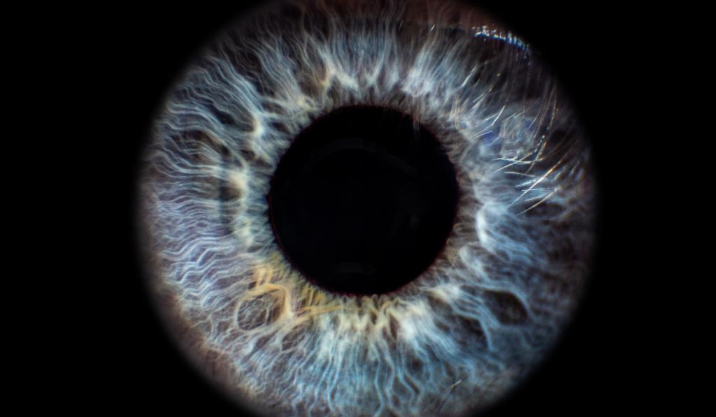High-definition close up photo of the eye