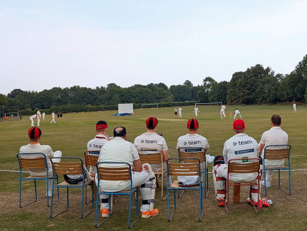 Group playing cricket in a park