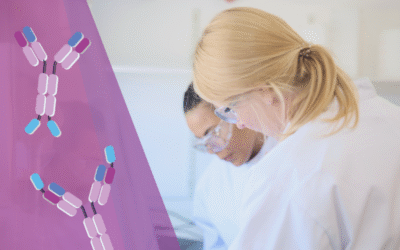 Building Smarter Therapeutics with VHH Bolt-Ons
