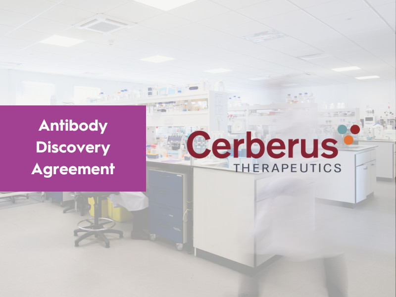 Cerberus Therapeutics Enters into Antibody Discovery Agreement with Isogenica