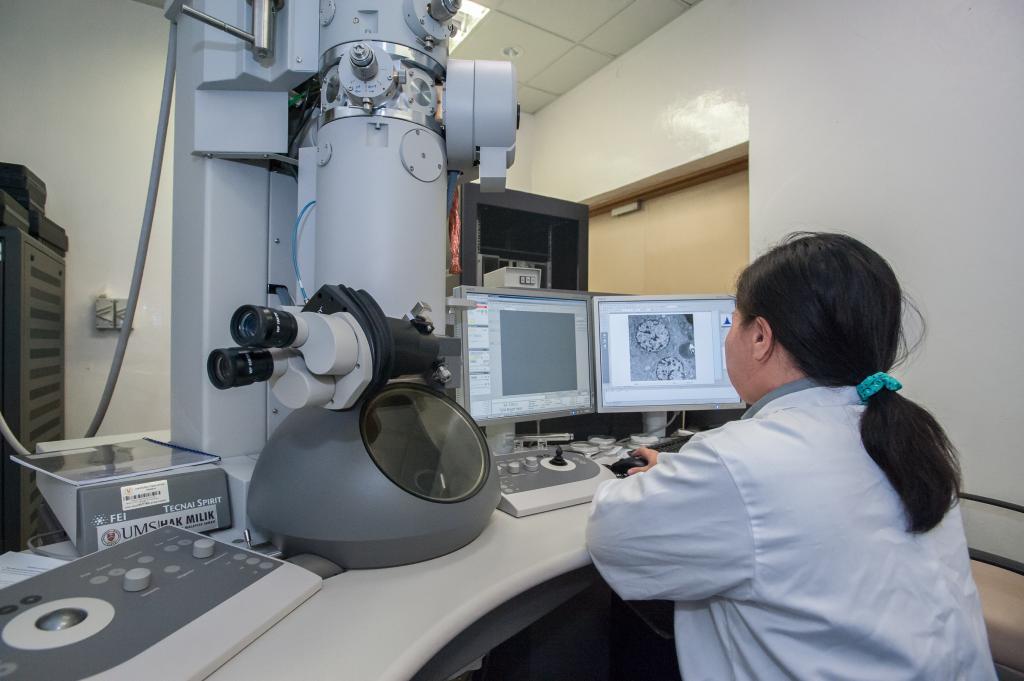 Using category entry points to improve brand recall in Life Sciences